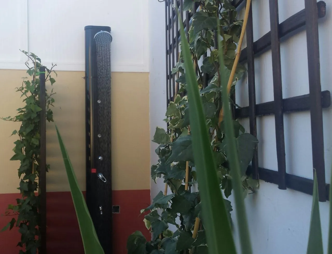 Hotel Y Apartamentos Dona Lola Seville